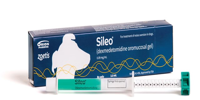 sileo dose in cats